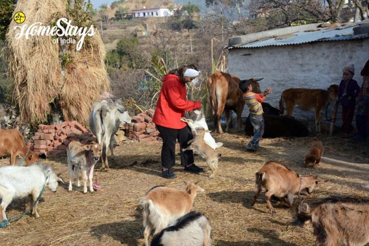 Dwarahat Village Farmstay- Babaji'S Cave Εξωτερικό φωτογραφία