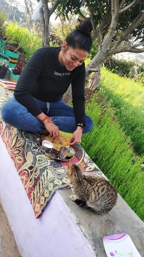 Dwarahat Village Farmstay- Babaji'S Cave Εξωτερικό φωτογραφία